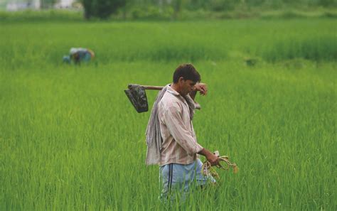 rethinking traditional indian farming approaches