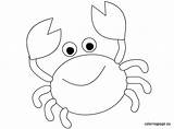 Crab Coloring Pages Cartoon Easy Maryland Color Animal Printable Fish Cute Colouring Drawing Coloringpage Eu Kids Crabs Christmas Print Animales sketch template