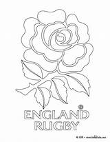 Rugby Coloriage Angleterre Blason Colorir Colorier Nrl Imprimer Hellokids Inglaterra Teams Football Jedessine Coloriages Imprimir Lesgribouillagesdenico sketch template