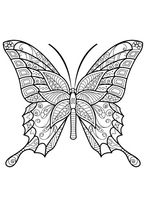 coloring pages butterflies mackira thanatos