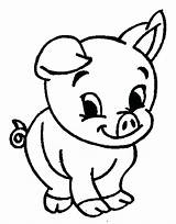Coloring Cute Pages Pig Pigs Getcolorings sketch template