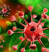 Image result for infeccioso. Size: 173 x 185. Source: www.infectoteam.com