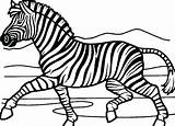 Zebra Coloring Pages Realistic Printable Color Getdrawings Face Print Getcolorings 95kb 432px sketch template