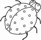 Ladybug Outline Clipart Ladybird Line Lady Coloring Beetle Clip Bird Cliparts Spotty Drawings Template Library Cute Book Sweetclipart Attribution Forget sketch template