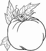 Tomato Coloring Pages Drawing Food Vegetable Vegetables Getdrawings sketch template