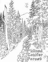 Coloring Pages Nature Adults Adult Kids Forest Printable Sheets sketch template