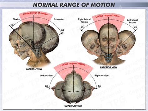 normal range  motion order