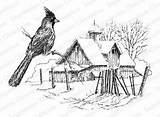 Winter Cardinal Coloring Impression Obsession Cling Stamp Mybigcommerce sketch template