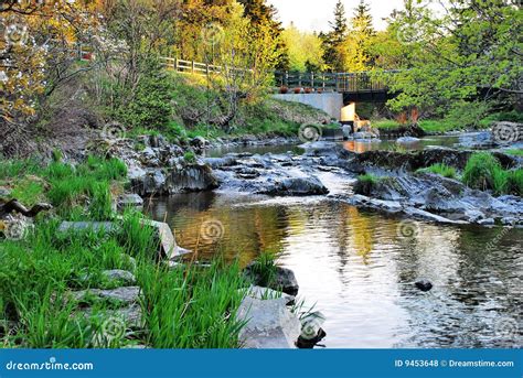 de rivier van waterford stock foto image  gebladerte