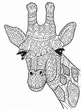 Coloring Pages Giraffe Adult Cute Adults People Mandala Printable Print Ten Giraffes Crafts Who Kids Animal Head April Color Sheets sketch template