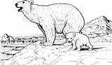 Polar Bear Coloring Pages Printable Baby Kids Mother sketch template