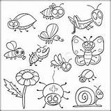 Coloring Pages Insect Insects Color Colouring Bugs Pdf Kids Printable Garden Preschool Sheets Getdrawings Animal Zini Book Online sketch template