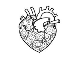 heart structure coloring page coloring page