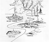 Geyser Drawing Sketch Paintingvalley Geothermal Areas sketch template