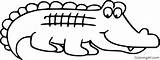 Alligator Coloringall sketch template