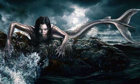 Siren A Mermaid Tale Swordwhale
