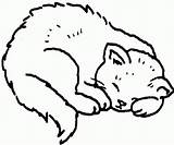 Sleeping Coloring Cat Cartoon Popular sketch template