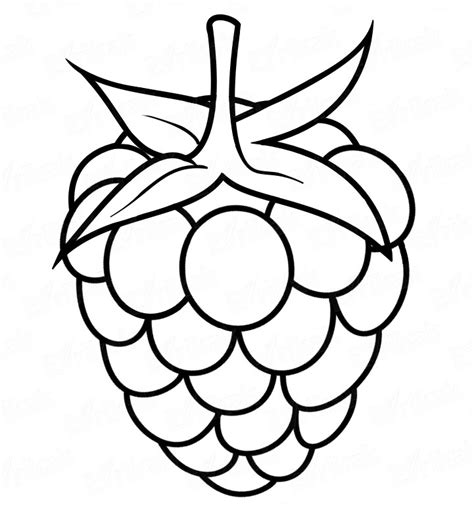 raspberry coloring art coloring pages