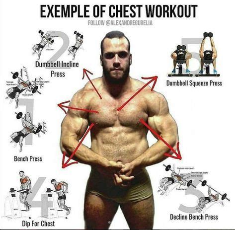 exercise chest chest workouts chest workout  chest workout