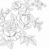 Briar Coloring Pages все из раскраски категории Flowers sketch template