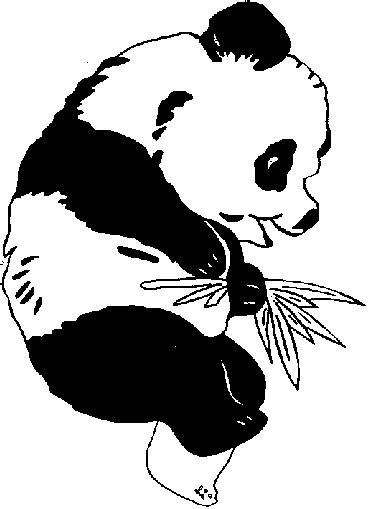 coloring giant panda picture