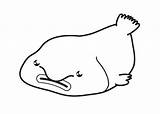 Blobfish Colouring Pages Para Colorear Coloring Dibujo Sketch Animal Con Larger Printablecolouringpages Credit sketch template