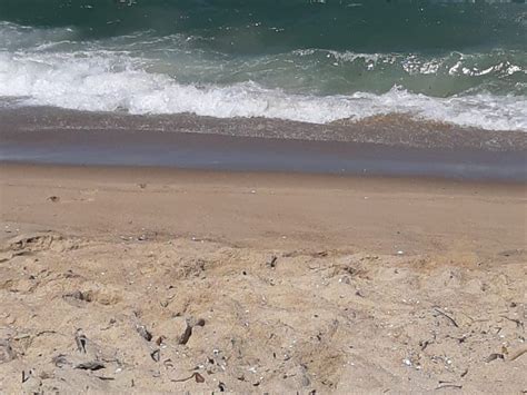 conheca  analises das areias de algumas de nossas praias feitas ha