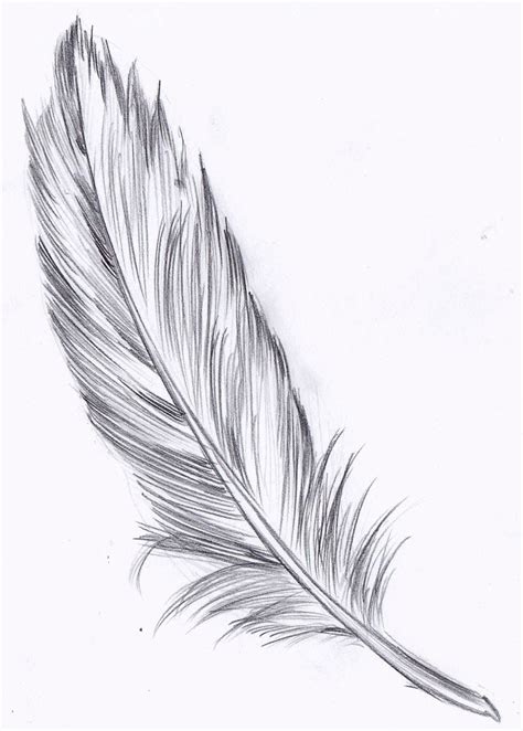 weekly doodles  tuts drawspace lesson    draw  feather
