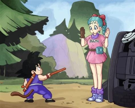 Goku And Bulma Paint By Numbers Canvas Paint By Numbers