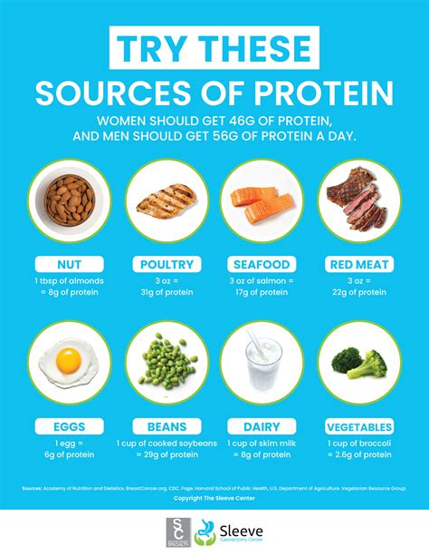 weight loss infographic   sources  protein sleeve center
