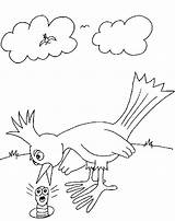 Ptice Uccelli Oiseaux Crtež Osam Ptica Crtezi Bojanke Printanje Bojanje Gifgratis sketch template