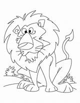 Lion Coloring Pages Lioness Angry Mouse Daniel Mountain Tiger Drawing Lions Printable Den Cub Getdrawings Color Getcolorings King Sheet Kids sketch template