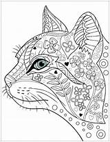 Coloring Pages Websites Getcolorings Animal sketch template