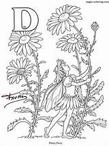 Coloring Fairy Elfjes Flower Alfabet Hadas Colorear Kleurplaten Pages Magic Alphabet Para Alfabeto Letter Book Daisy Las Kleurplaat Plantillas sketch template