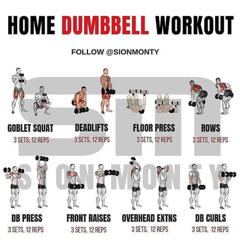 dumbbell workout  home full body weight workout dumbbell workout