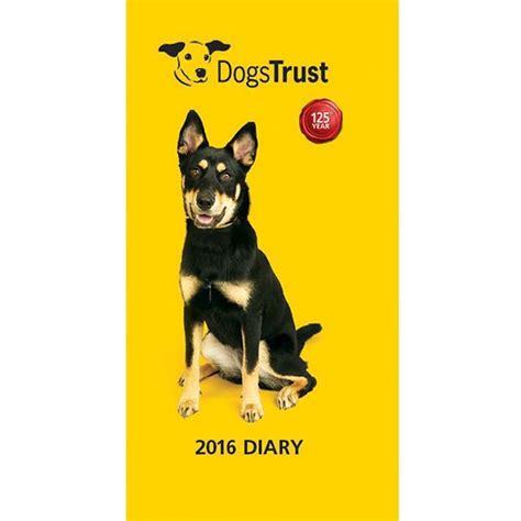 dogs trust dogs trust rescue dogs animal charities