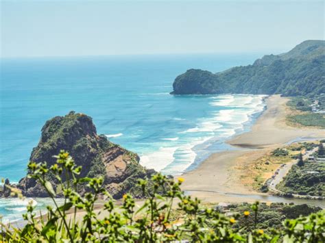 beautiful pictures   zealands north island beaches  family voyage