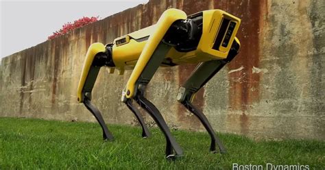 creepy robo dog     fear  robot apocalypse