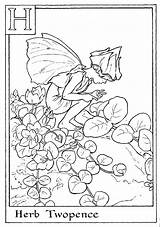 Fairies Herb Twopence Letter Fee Fadas Tsgos Barker Cicely Kleurplaat Hope sketch template