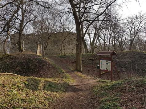 die domburg ruine im hakel routes  walking  hiking komoot