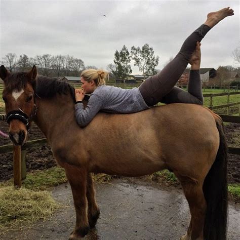 apparently  yoga   horse    horse vaulting horse
