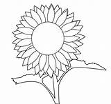 Sunflower Template Drawing Printable Line Clipart Sunflowers Cliparts Clip Getdrawings Library sketch template