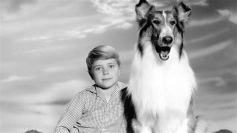 watch lassie tv show online free 123movies