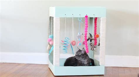 16 Easy Diy Cat Toys You Can Make For Your Kitty Meowlogy