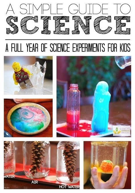 science center  preschool images  pinterest preschool