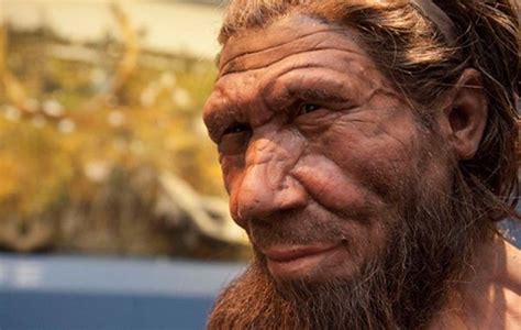 Neanderthal Facial Reconstruction She Males Free Videos