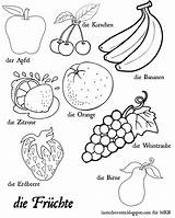 Drawing Fruits Colouring Coloring Drawings Draw sketch template
