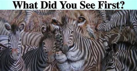 What Did You See First