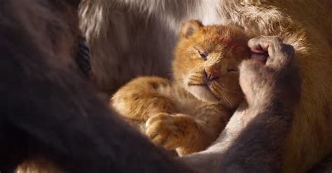 The Lion King Remake S Trailer Confuses The Internet Just What Is
