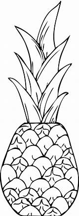 Coloring Pages Pineapple Kids Printable sketch template